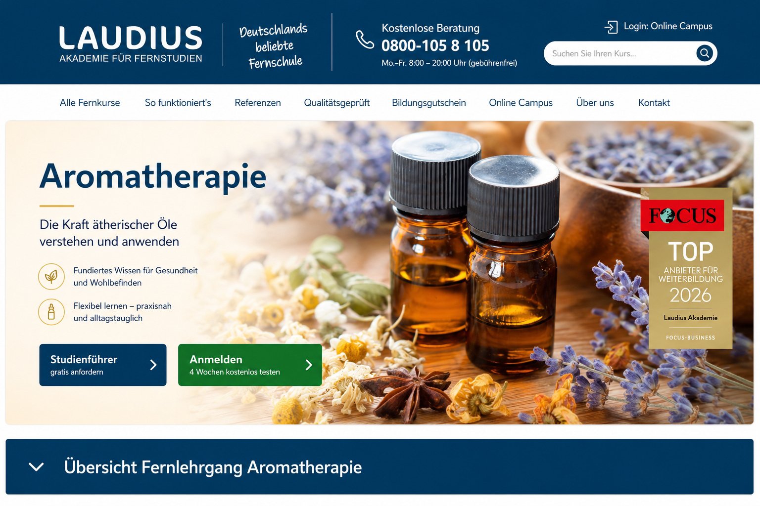 Laudius Landingpage.jpg